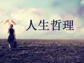 年度政务总结报告（精选3篇）