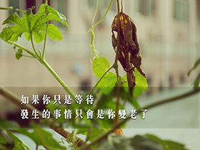 描写老师的作文150字