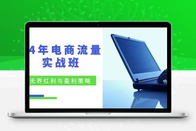 24年电商流量实战班：无界 红利与盈利策略，终极提升/关键词优化/精准…