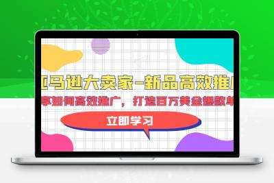 亚马逊 大卖家-新品高效推广，分享如何高效推广，打造百万美金爆款单品