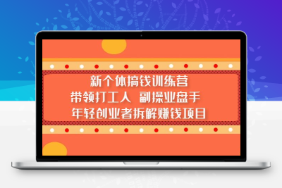 新个体搞钱训练营：带领打工人 副操业盘手 年轻创业者拆解赚钱项目