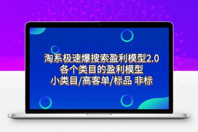 淘系极速爆搜索盈利模型2.0，各个类目的盈利模型，小类目/高客单/标品 非标