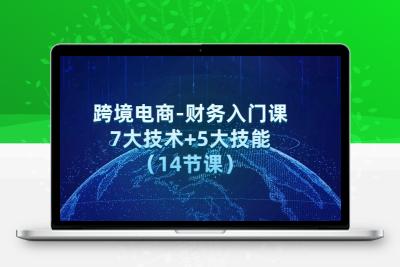 跨境电商-财务入门课：7大技术+5大技能（14节课）