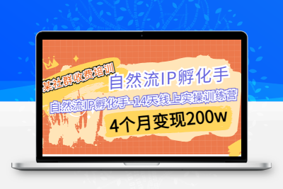 某社群收费培训：自然流IP 孵化手-14天线上实操训练营 4个月变现200w