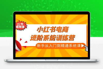 小红书电商进阶系统训练营：新手从入门到精通系统课（21节视频课）