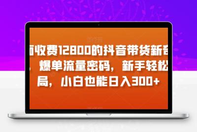 外面收费12800的抖音带货新奇玩法，爆单流量密码，新手轻松入局，小白也能日入300+【揭秘】