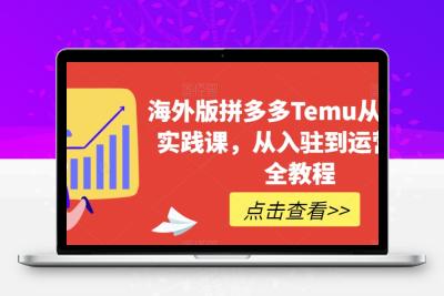 海外版拼多多Temu从零到一实践课，从入驻到运营的最全教程