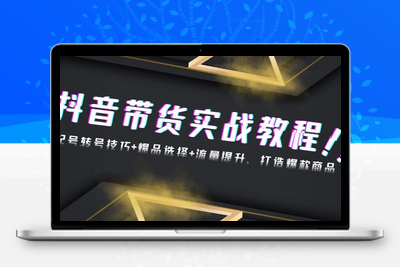 抖音带货实战教程：起号转号技巧+爆品选择+流量提升，打造爆款商品