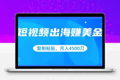 短视频出海赚美金，复制粘贴批量操作，小白轻松掌握，月入4500美刀【揭秘】