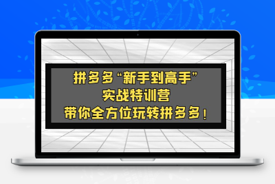 拼多多“新手到高手”实战特训营：带你全方位玩转拼多多！