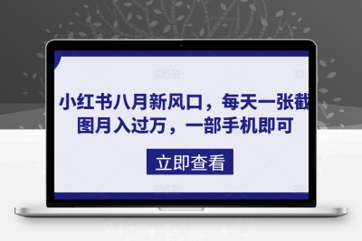 八月新风口，小红书虚拟项目一天收入1000+，实战揭秘