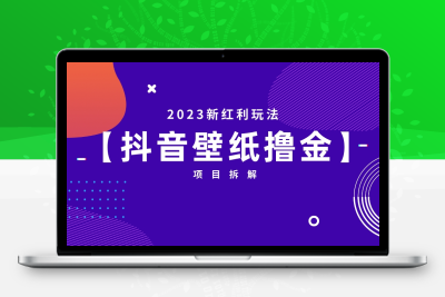 2023新红利玩法：抖音壁纸撸金项目