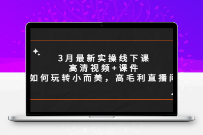 3月最新实操线下课高清视频+课件，如何玩转小而美，高毛利直播间