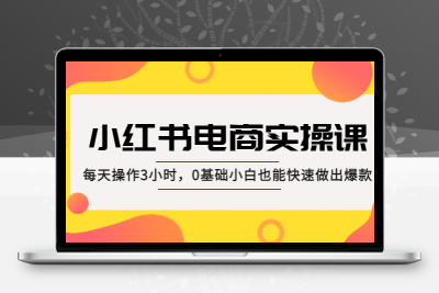 小红书·电商实操课：每天操作3小时，0基础小白也能快速做出爆款！