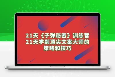 21天《子弹秘密》训练营，21天学到顶尖文案大师的策略和技巧