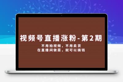 视频号/直播涨粉-第2期，不用拍视频，不用卖货，在直播间做菜，就可以搞钱