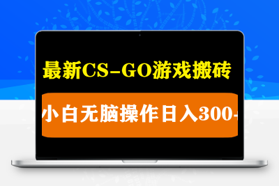 最新csgo游戏搬砖游戏，无需挂机小白无脑也能日入300+