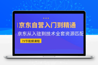 京东自营入门到精通：京东从入驻到技术全套资源匹配（79节课）