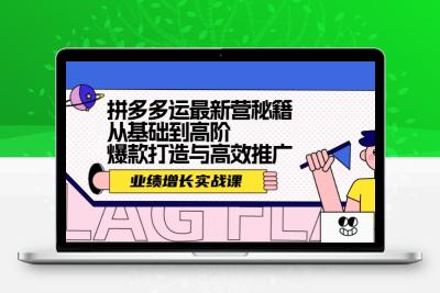 拼多多运最新营秘籍：业绩 增长实战课，从基础到高阶，爆款打造与高效推广