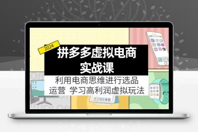 拼多多虚拟电商实战课：利用电商思维进行选品+运营，学习高利润虚拟玩法