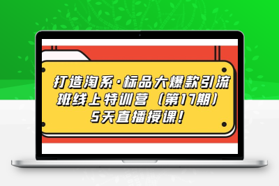 打造淘系·标品大爆款引流班线上特训营（第17期）5天直播授课！