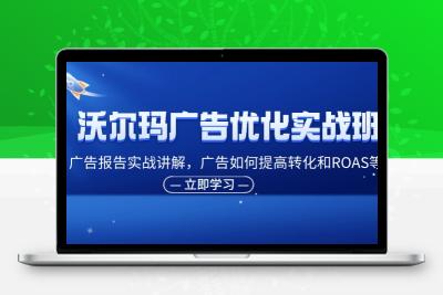 沃尔玛广告优化实战班，广告报告实战讲解，广告如何提高转化和ROAS等