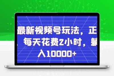 全网最新视频号玩法，正能量赛道，每天花费2小时，躺着月入10000+【揭秘】