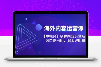 海外内容 运营课【中视频】多种内容运营玩法 风口正当时 掘金好时机-101节