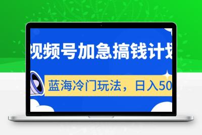 视频号加急搞钱计划，蓝海冷门玩法，日入500+【揭秘】