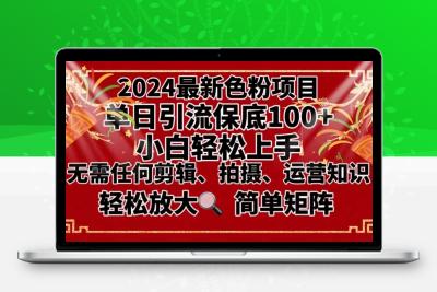 2024最新换脸项目，小白轻松上手，单号单月变现3W＋，可批量矩阵操作放大