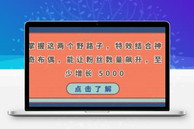 掌握这两个野路子，特效结合神奇布偶，能让粉丝数量飙升，至少增长 5000【揭秘】