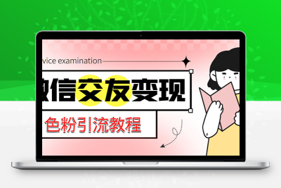 微信交友变现项目，吸引全网LSP男粉精准变现，小白也能轻松上手，日入500+