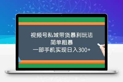 视频号私域带货暴利玩法，简单粗暴，一部手机实现日入300+