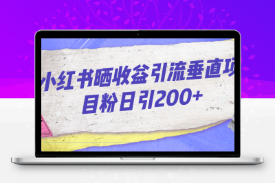 小红书晒收益图引流垂直项目粉日引200+