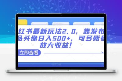 小红书最新玩法2.0，靠发布精品头像日入500+，可多账号放大收益！【揭秘】