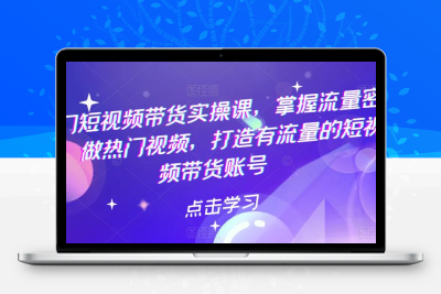 热门短视频带货实战 掌握流量密码 做热门视频 打造有流量的短视频带货账号