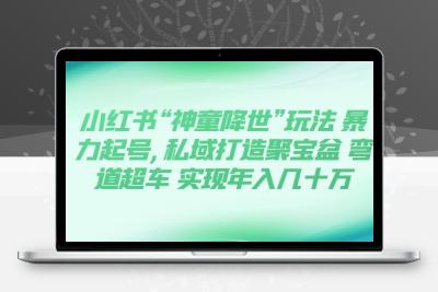 小红书“神童降世”玩法 暴力起号,私域打造聚宝盆 弯道超车 实现年入几十万