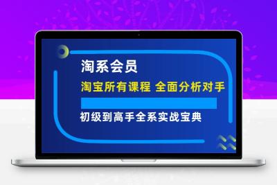 淘系会员【淘宝所有课程，全面分析对手】，初级到高手全系实战宝典