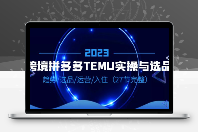 2023跨境·拼多多·TEMU实操与选品，趋势·选品·运营·入住（27节完整）