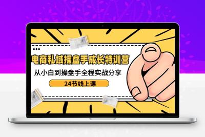 电商私域-操盘手成长特训营：从小白到操盘手全程实战分享-24节线上课