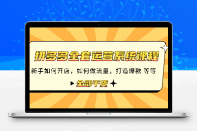 拼多多全套运营系统课程：新手如何开店 如何做流量 打造爆款 等等 全部..